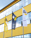 Rok 2007 - Inter Flag po rekonstrukci