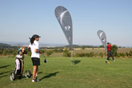 muší křídla - Golf